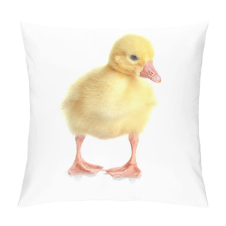 Personality  Cute Funny Gosling Pillow Covers