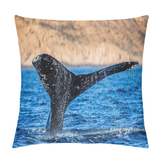 Personality  Tail Of Humpback Whale Pillow Covers