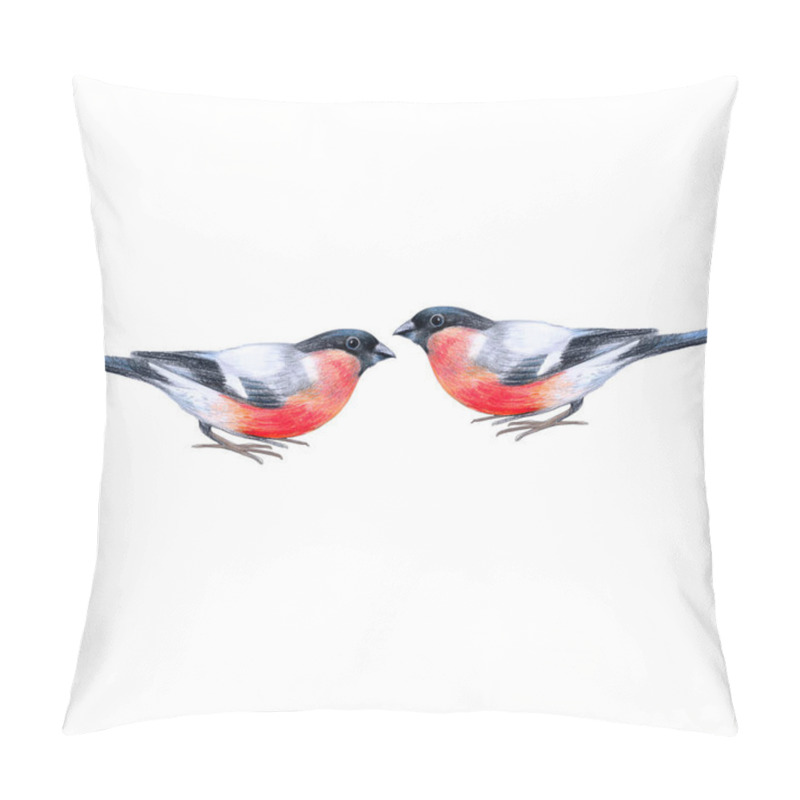 Personality  Bullfinches birds, a meeting of two birds, cute bright birds, crayon drawing on a white background, for autumn or winter design and print decoration pillow covers