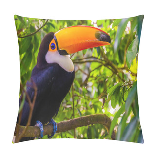 Personality  Beautiful Portrait Of A Toco Toucan Sitting In A Tree, Tropical Bird Specie From America Pillow Covers
