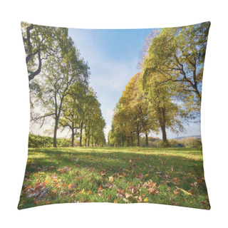 Personality  Lines Of Trees On A Sunny Day. Pillow Covers