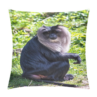 Personality  Lion-Tailed Macaque Pillow Covers