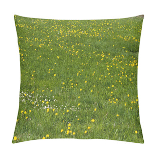 Personality  Blooming Plants With Seasonal Colors Of Springtime. Pillow Covers