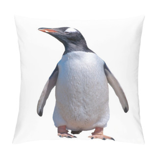 Personality  Isolated Gentoo Penguin With Clipping Path Pillow Covers