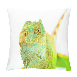 Personality  One Green Iguana Pillow Covers