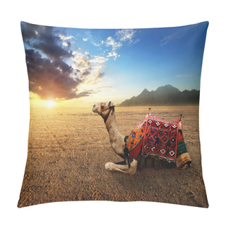 Personality  Camel In The Desert Pillow Covers