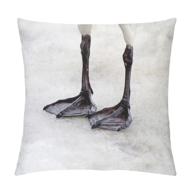Personality  Webbed Feet Pillow Covers