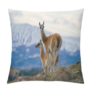 Personality  Wild Lamas - Guanaco, Pillow Covers