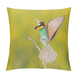 Personality  European Bee-eater, Merops Apiaster, Landing On A Twig With Bee In Beak. Colorful Bird Flying With Catched Insect. Wildlife Scenery With Blurred Yellow Background Pillow Covers