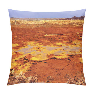 Personality  Mineral Crust-Dallol Mountain Rising 50-60 Ms.over Lake Karum-Assale. Danakil-Ethiopia. 0331 Pillow Covers