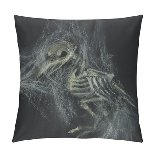 Personality  Halloween Dark Gothic Art Drawing. Creepy Cute Black Drawing Of A Raven Or Crow Skull And Skeleton Tangled In Spiderweb. Horror Goth Weird Drawing Of Bird Skeleton. Evil Dark Fantasy Picture. Cute Bizarre Spooky Animal Skull In Spider Web Image. Pillow Covers