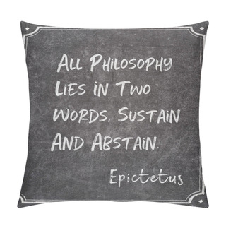 Personality  Two Words Epictetus Pillow Covers