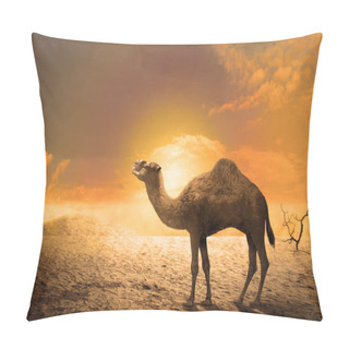 Personality  Camel On The Sand Dunes At Sunset. Heat Wave Concept Pillow Covers