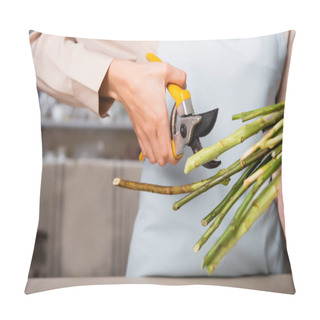 Personality  Cropped View Of Female Florist Holding Secateurs Near Stalks Of Flowers On Blurred Background Pillow Covers