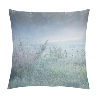 Personality  Forest Meadow (lawn) At Sunrise. Plants, Dew Drops. Morning Fog, Soft Sunlight, Sunbeams, Golden Hour. Idyllic Landscape. Picturesque Scenery. Nature, Environment, Ecology Pillow Covers