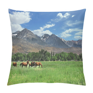 Personality  Brown Horses Grazing In The Mountain Mea Pillow Covers