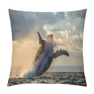 Personality  Jump Humpback Whale Pillow Covers
