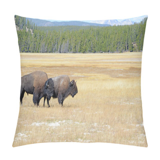 Personality  American Bison, Yellowstone National Park, Rocky Mountains Pillow Covers