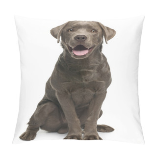 Personality  Labrador Retriever, 7 Months Old, Sitting In Front Of White Background Pillow Covers