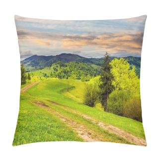Personality  Road On Hillside Meadow In Mountain At Sunrise Pillow Covers