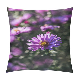 Personality  Close Up View Of Beautiful Blooming Purple Fresh Flowers Pillow Covers