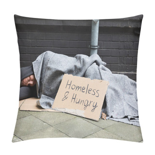 Personality  Homeless Man Sleeping Pillow Covers