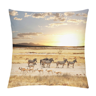 Personality  Safari In Namibia Pillow Covers
