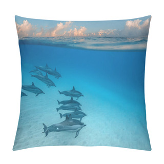 Personality  Pod Of Spinner Dophins On Blue Water Background Underwater Shot Pillow Covers
