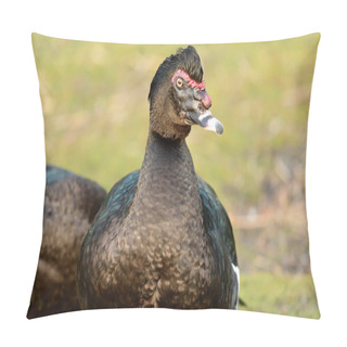Personality  Muscovy Duck (cairina Moschata) Pillow Covers