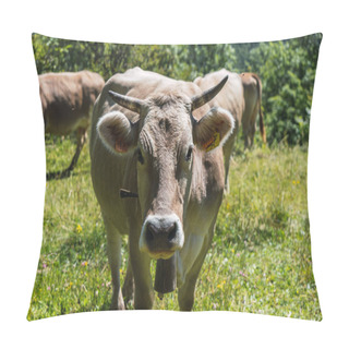 Personality  Cow Staring Intently At The Camera While Cattle Grazing Through The Pyrenees Mountains Pillow Covers
