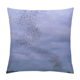 Personality  A Bat Herd Is Flying  For Food With Twilight Sky At Evening Back Pillow Covers