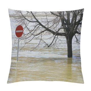 Personality  Flood Pillow Covers