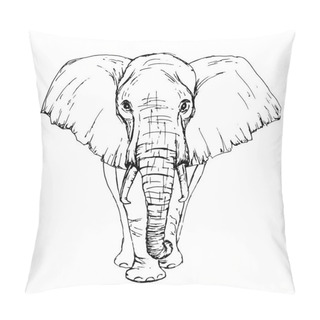 Personality  Sketch By Pen African Elephant Front View Pillow Covers