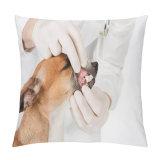Personality  Pet Getting Teeth Examined By Veterinarian On White Background. Pillow Covers