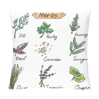 Personality  Herbs Set, Vector Hand Drawn Illustration Pillow Covers