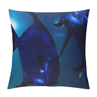 Personality  Fishes Swimming Under Water In Aquarium With Blue Lighting, Panoramic Shot Pillow Covers