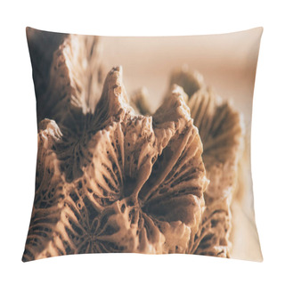 Personality  Close Up View Of Coral On Sandy Beach Pillow Covers