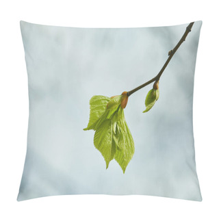 Personality  Close Up Of Buds And Blooming Green Leaves On Tree Branch Pillow Covers