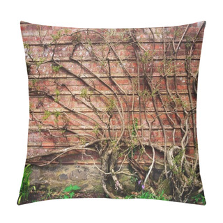 Personality  Wisteria Climbing Garden Wall Pillow Covers