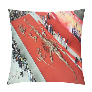 Personality  Officials And Visitors Look At Chinas Oldest Dinosaur Fossils During A Delivery Ceremony At The China Science And Technology Museum In Beijing, China, Tuesday, 18 August 2009 Pillow Covers