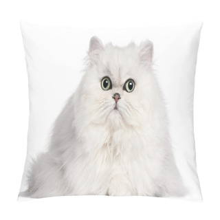 Personality  Persian Cat, 2 Years Old, In Front Of White Background Pillow Covers