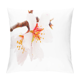 Personality  Peach Flowers Macro Pillow Covers