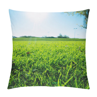 Personality  Park  Lawn View During The Sunny Day. Selective Focus On The Grass.  Pillow Covers