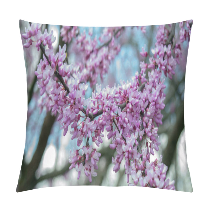 Personality  There is not much more beautiful than the color of redbud tree blooms coming to life in the spring after a cold winter in the Ozarks. Bokeh effect. pillow covers