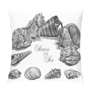 Personality  Frame With Different Seashells Drawn By Hand With Pencil Pillow Covers