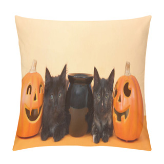Personality  Two Black Kittens Sitting Next To A Black Cauldron With Pumpkin Jack O Lanterns On Each Side, Orange Background. Banner Format. Halloween Theme. Pillow Covers
