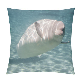 Personality  Beluga Whale Pillow Covers