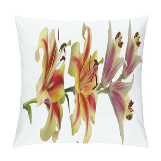 Personality  Panorama With Lily Flowers On A White Background Pillow Covers