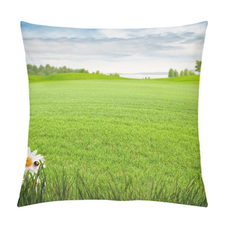 Personality  Beauty Summer Day On The Meadow Pillow Covers