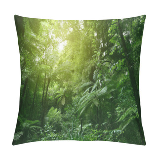 Personality  Sunlit Tree Canopy In Tropical Jungle  Pillow Covers